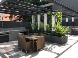 Liv On Wilkie (D9), Apartment #150656242